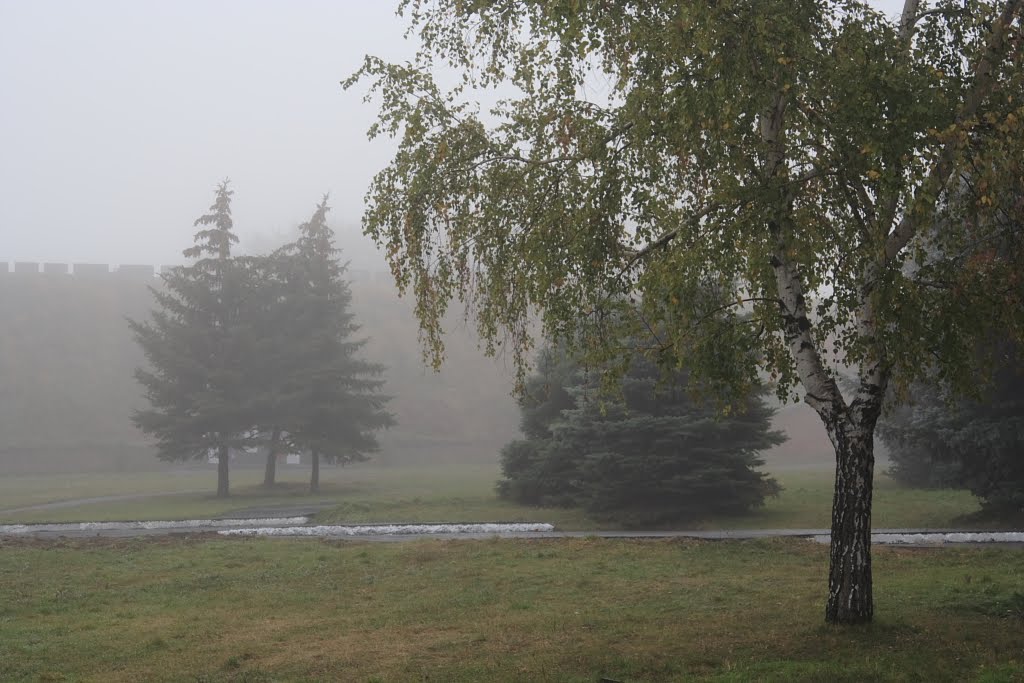 Осенний туман. Autumn fog.