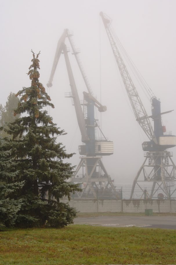 Краны. Cranes.