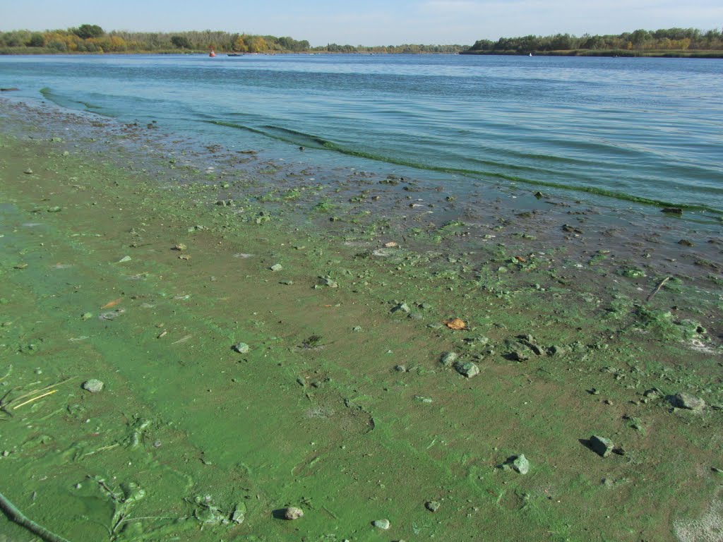 Don River / Река Дон