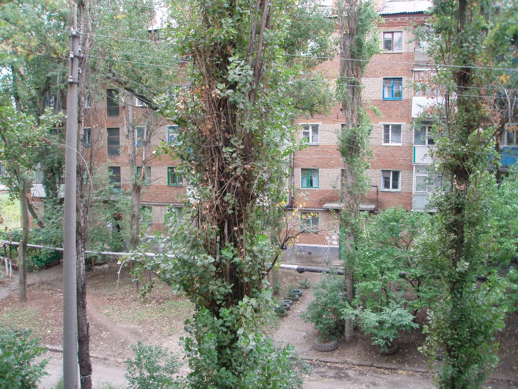 Шахты , Искра 51.