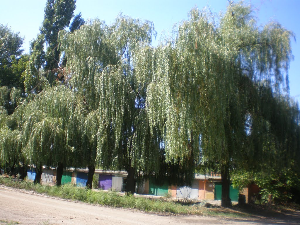 г. Шахты, ул. Искра