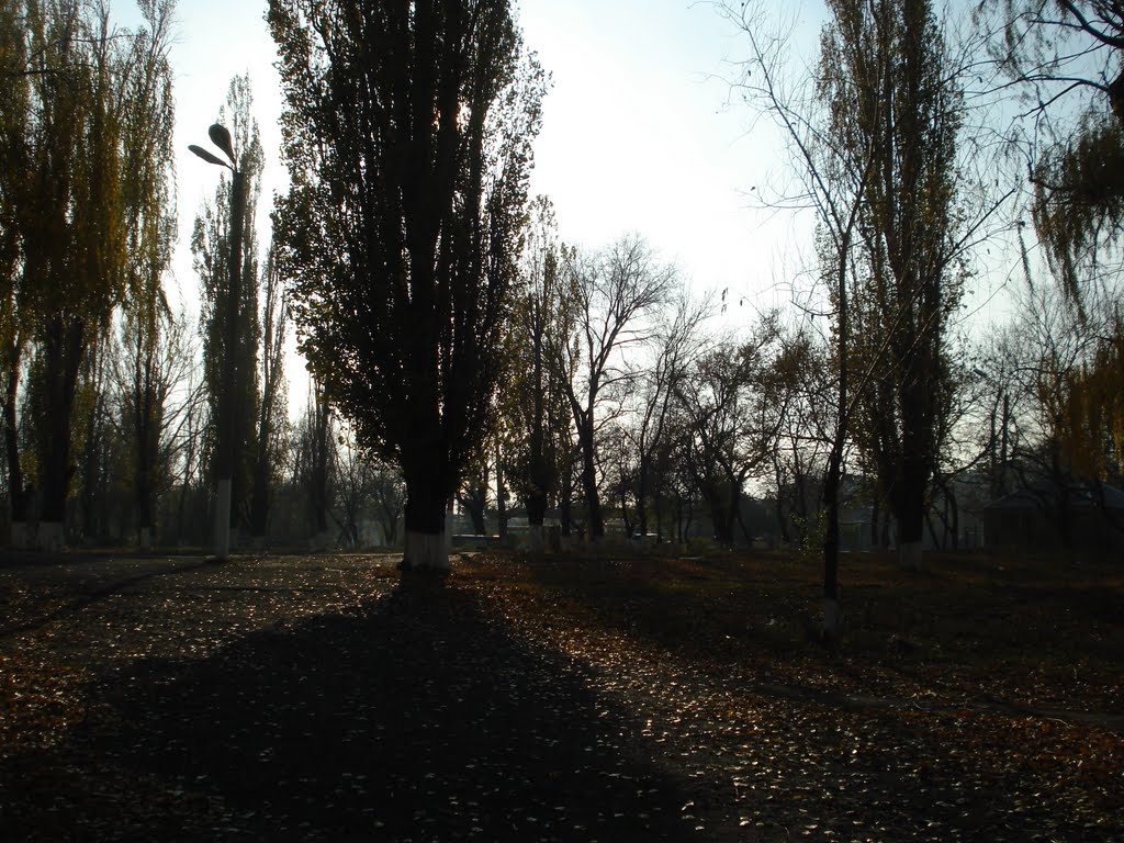 Park near school