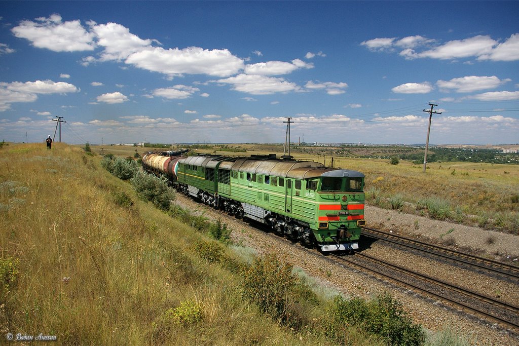Diesel locomotive 2TE116-861/666 with train