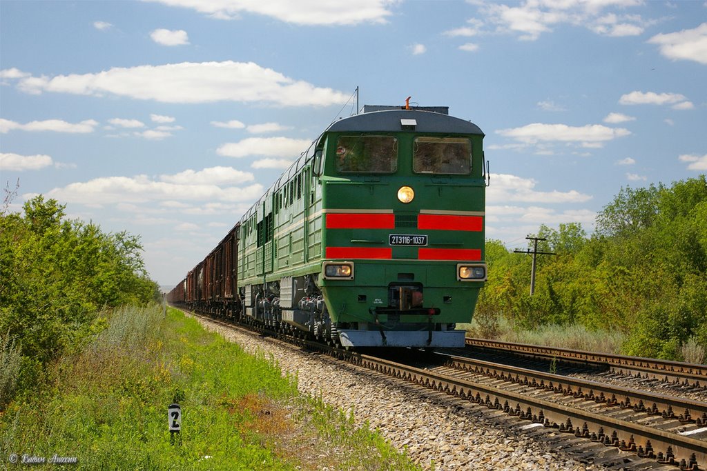 Diesel locomotive 2TE116-1037 with train