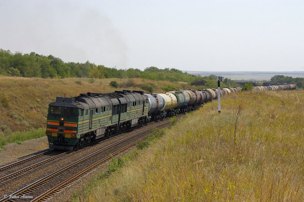 Diesel locomotive 2TE116-1275 with train