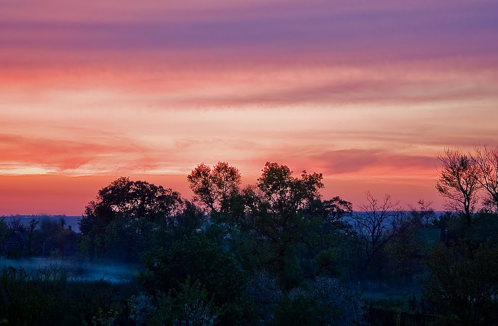 Evening