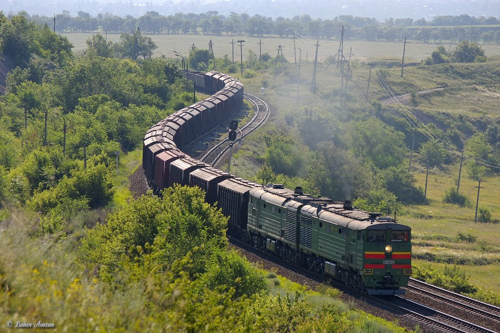 Diesel locomotive 2TE10MK-3270 with cargo train near Kakichev