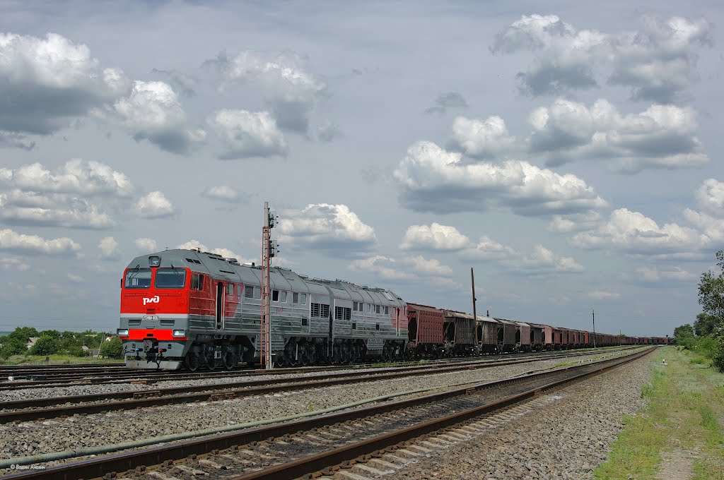 Diesel locomotive 2TE116U-0135 with cargo train on passing train Vasilievsky