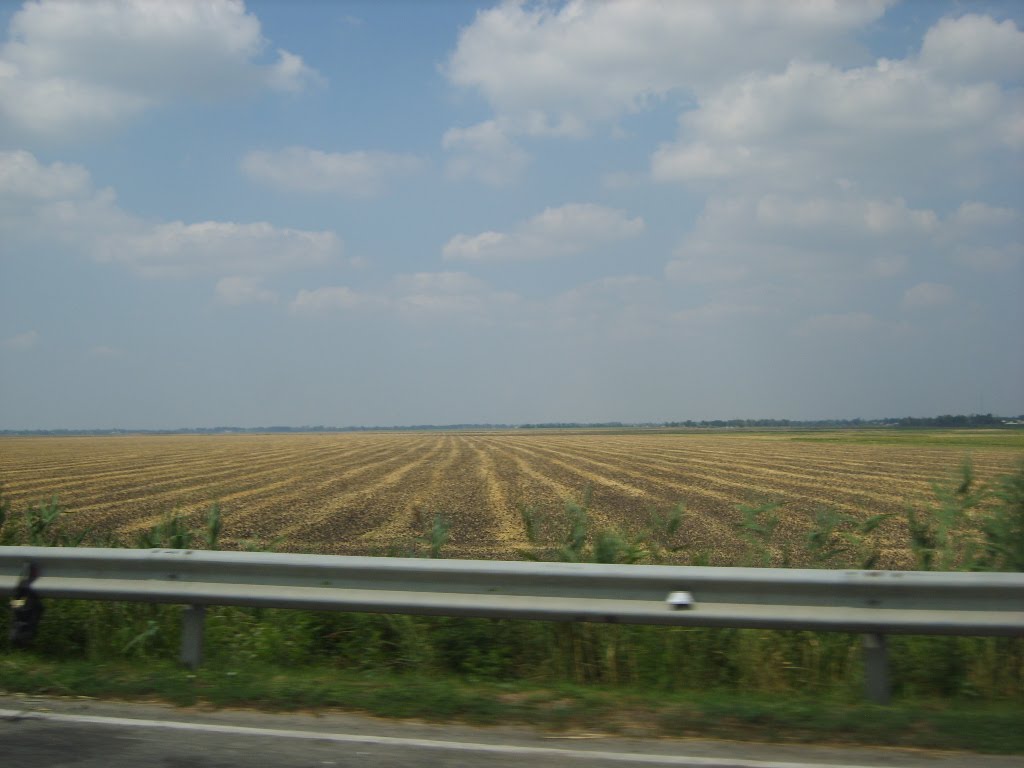 Волгодонская трасса. Западное направление. 31/07/2009.