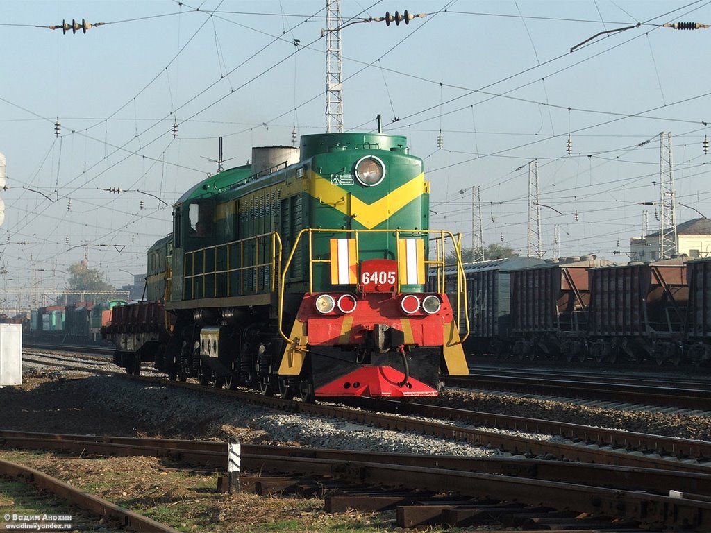 Diesel shunter TEM2-6405