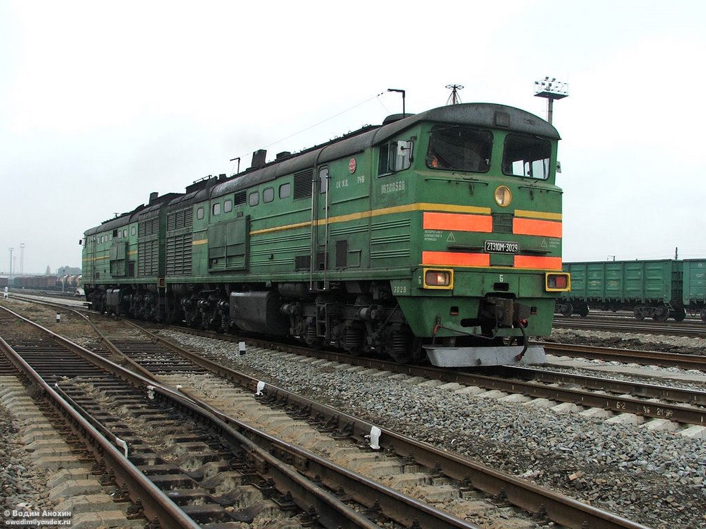 Diesel locomotive 2TE10M-3029