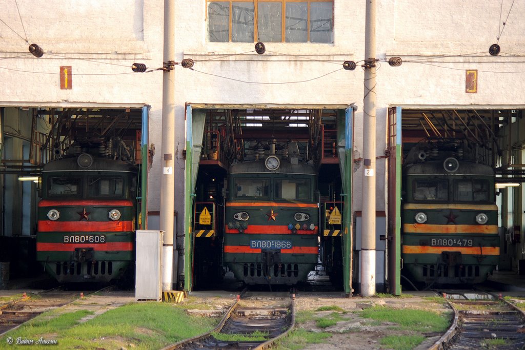 Three locomotives in depot
