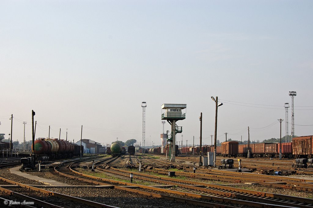South hump yard of train station Bataysk (подгорочный парк Южной горки)