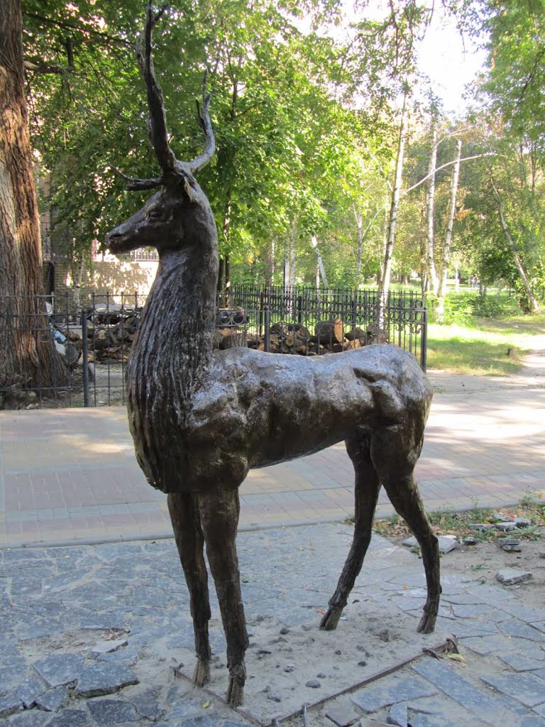 Парк в Батайске / Park in Bataysk