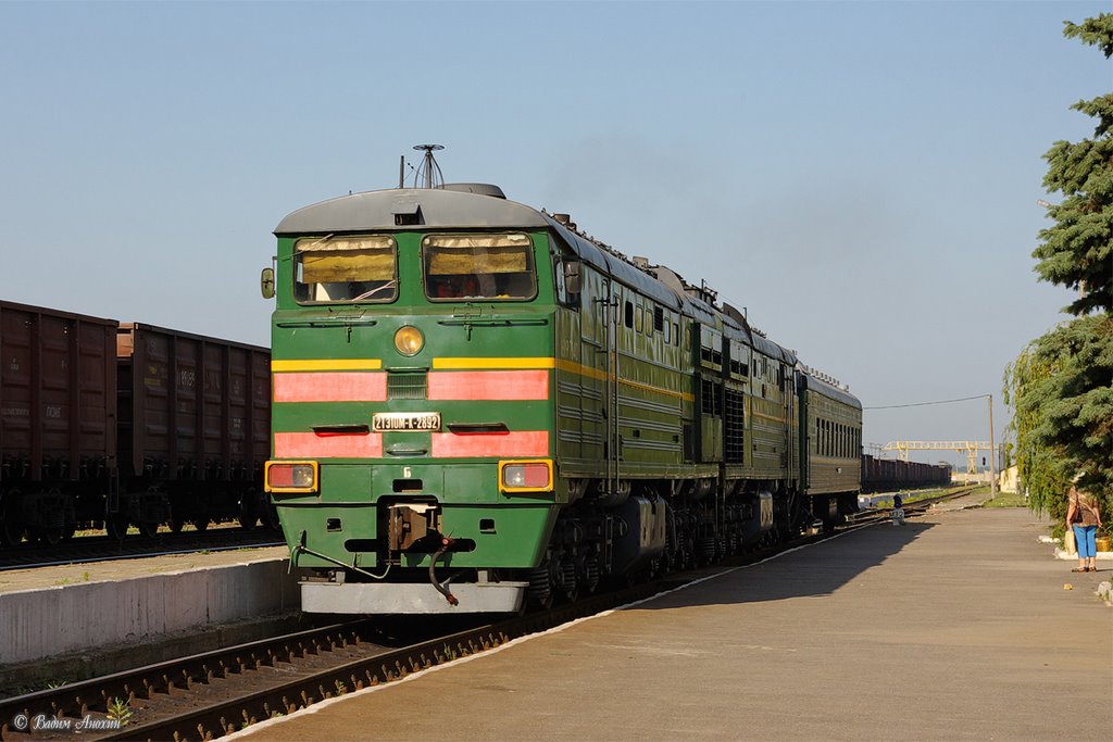Diesel locomotive 2TE10MK-2892 with small local train