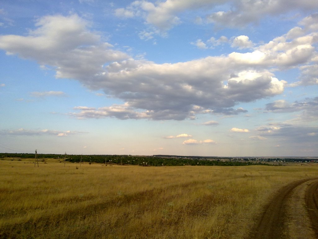 Родные просторы