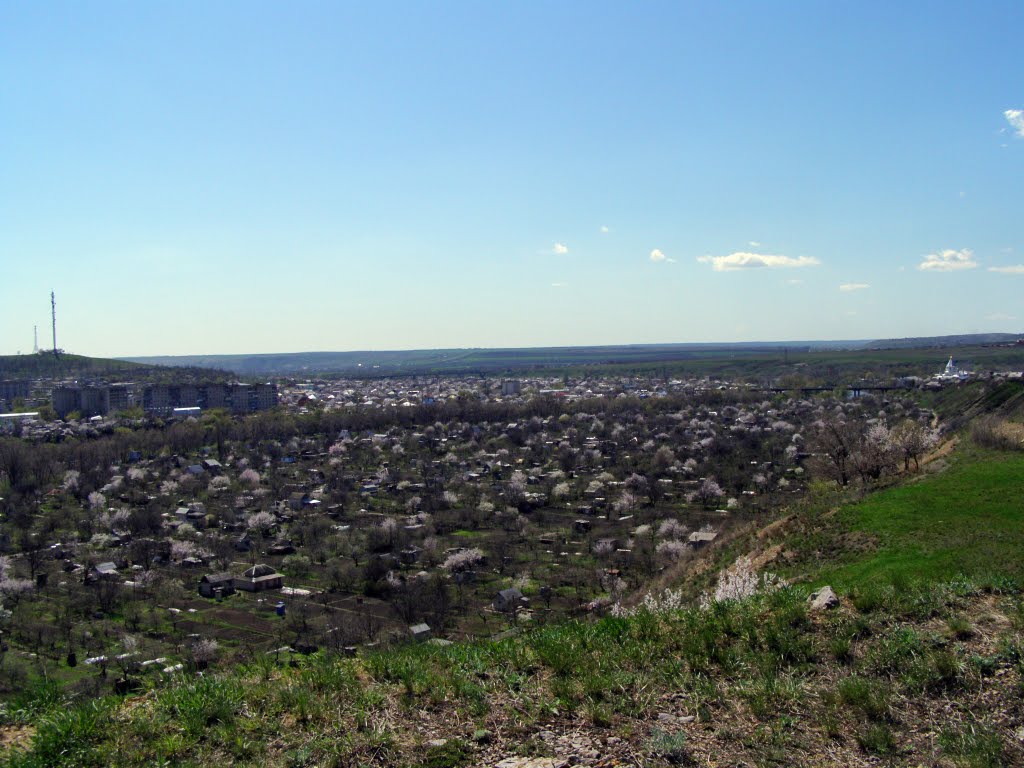 Панорама