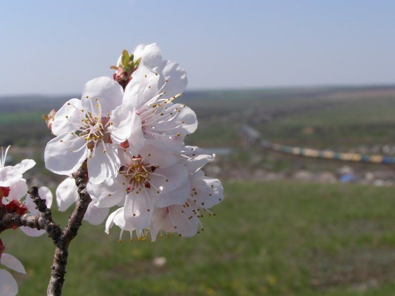 Весна. Вид с горы Караул
