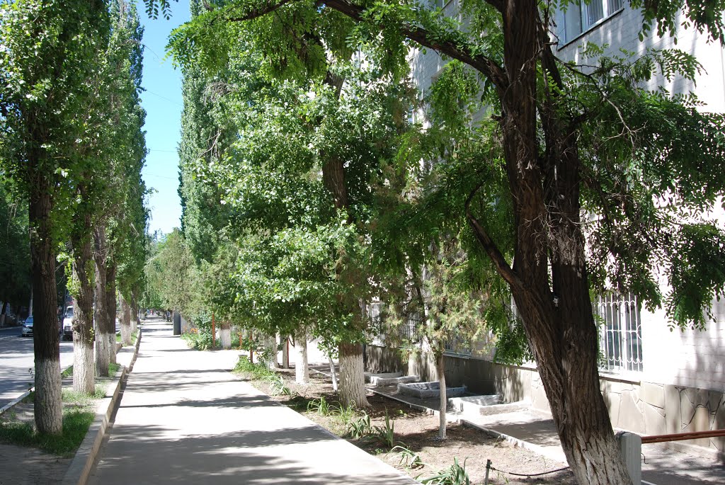 Улица Калинина на запад
