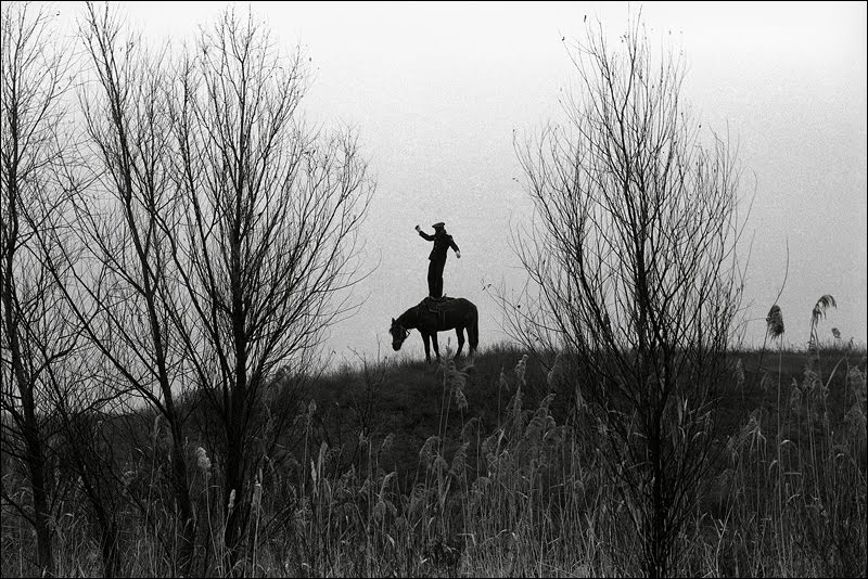 Cossack Valerka. Standing in all growth in a saddle