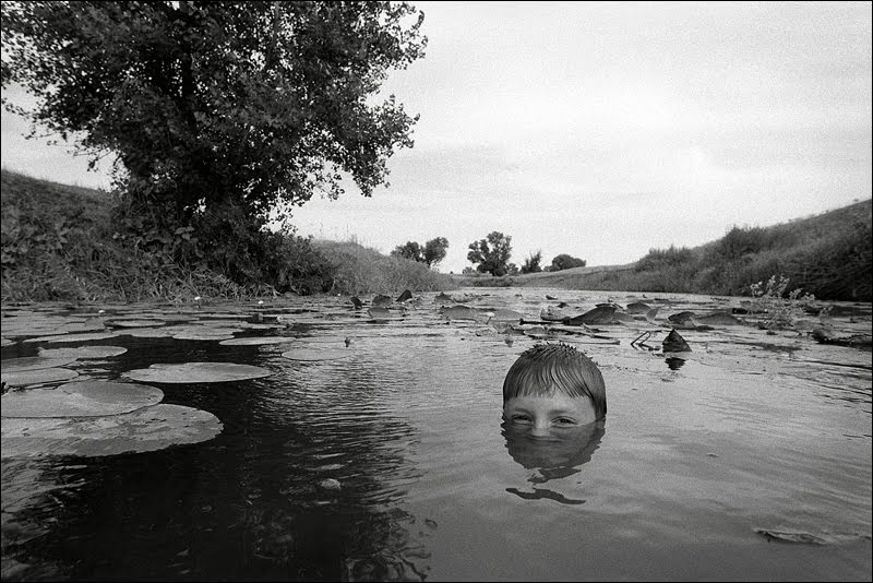 The frog pool