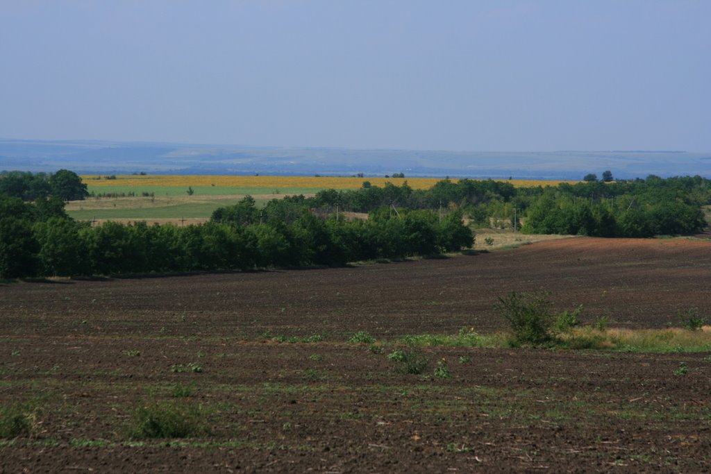 Леса,поля,луга,