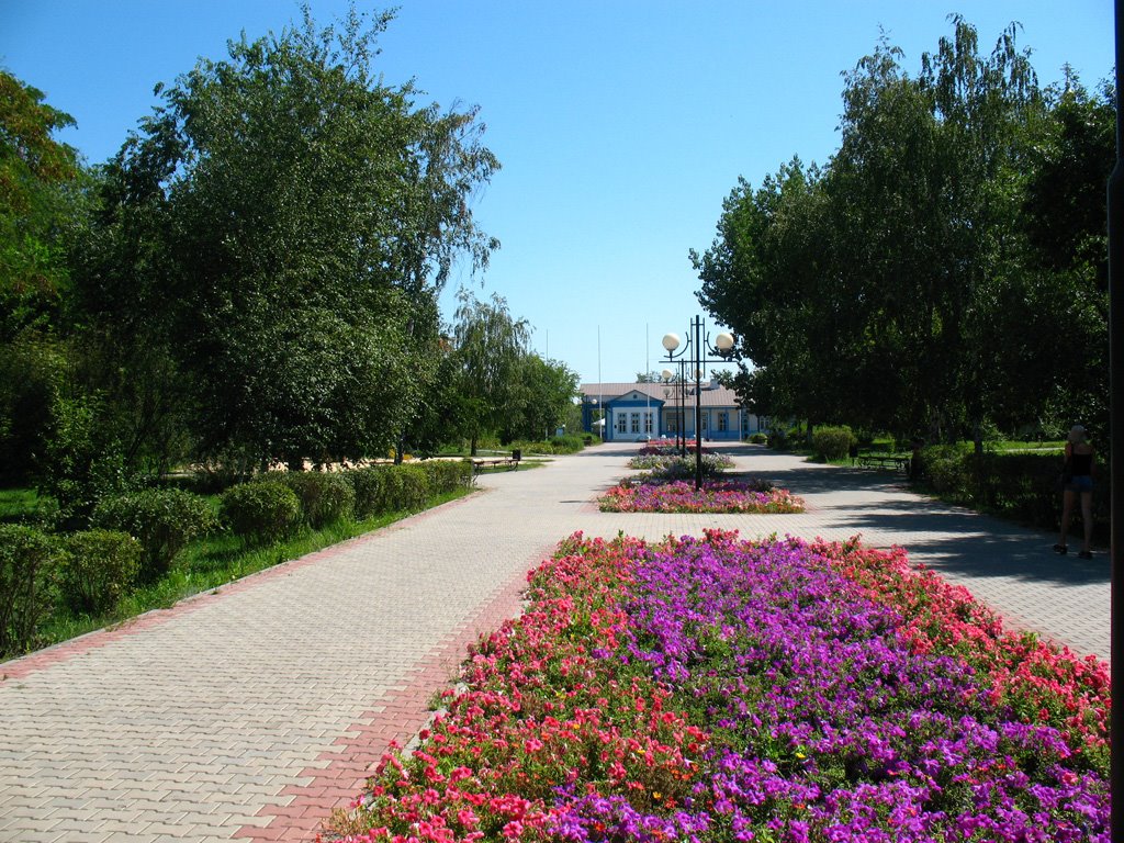 Аллея в центе у фонтана