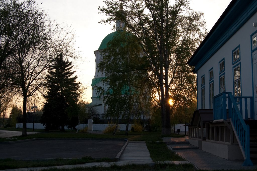 Стелла