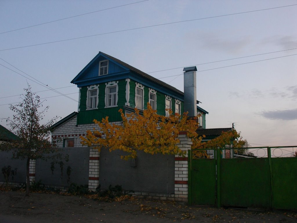 Вешенская. Архитектурный стиль станицы