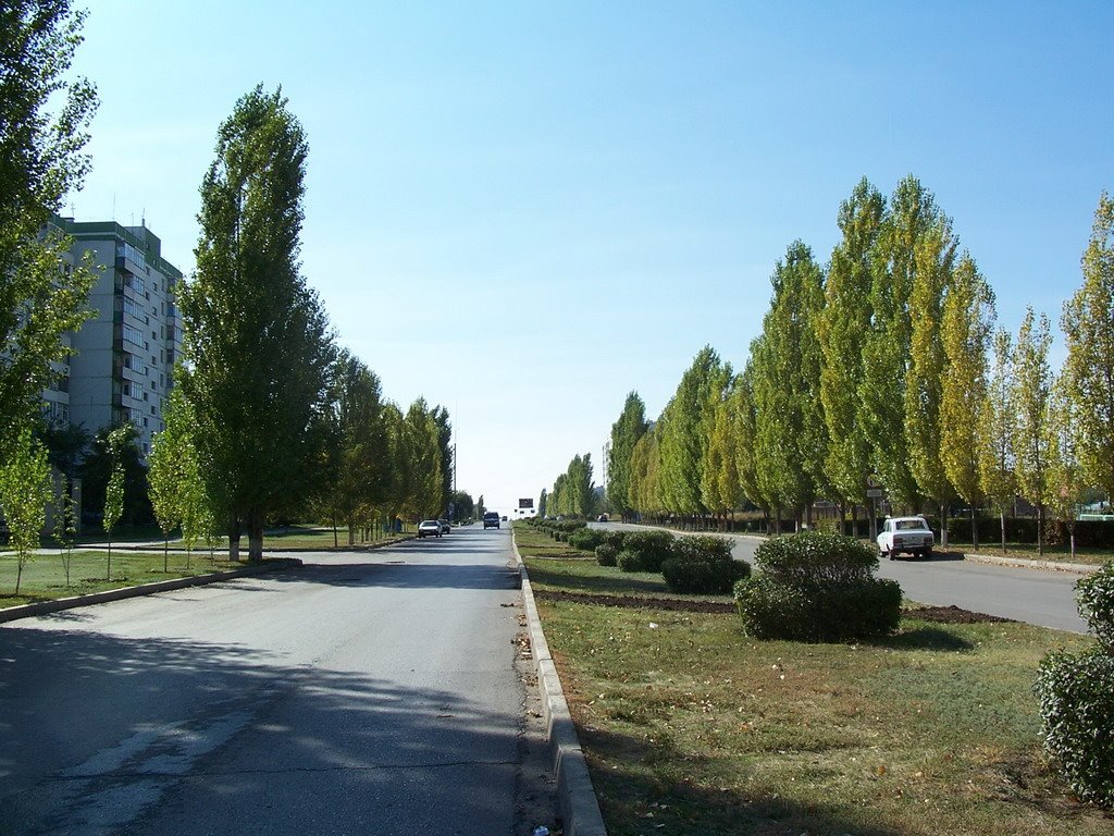 улица Гагарина