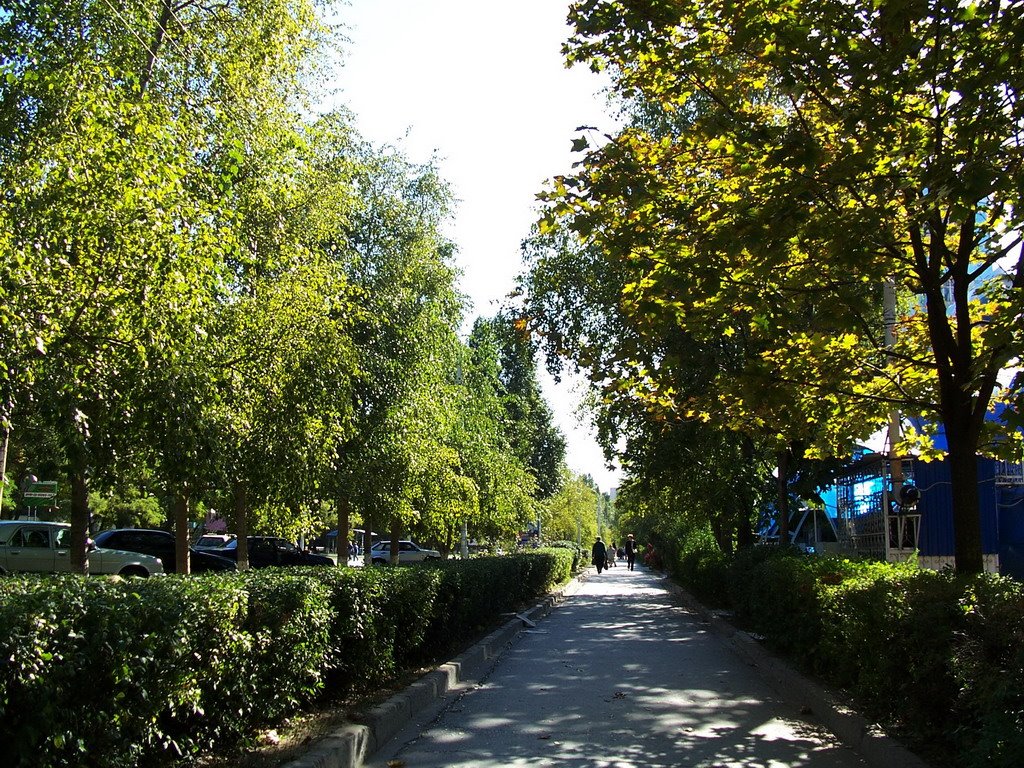 Вдоль улицы