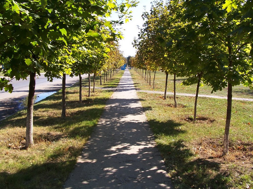 Алейка
