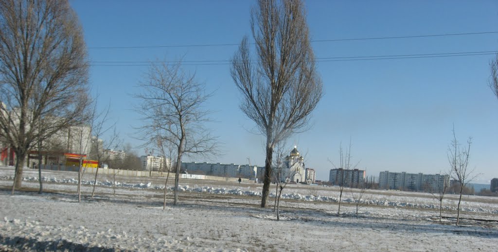 Февраль 2011
