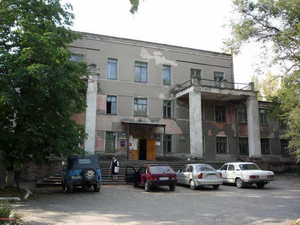 Трест