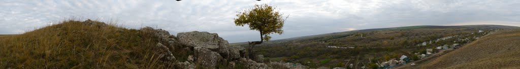 Панорама