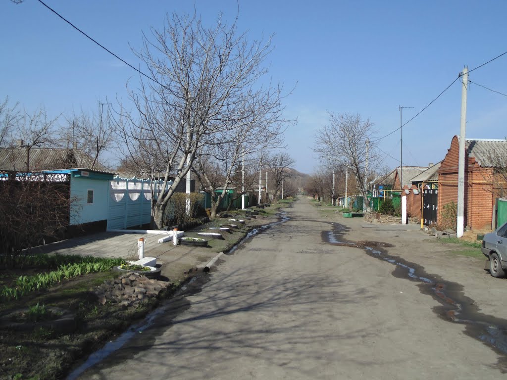 улица Осипенко