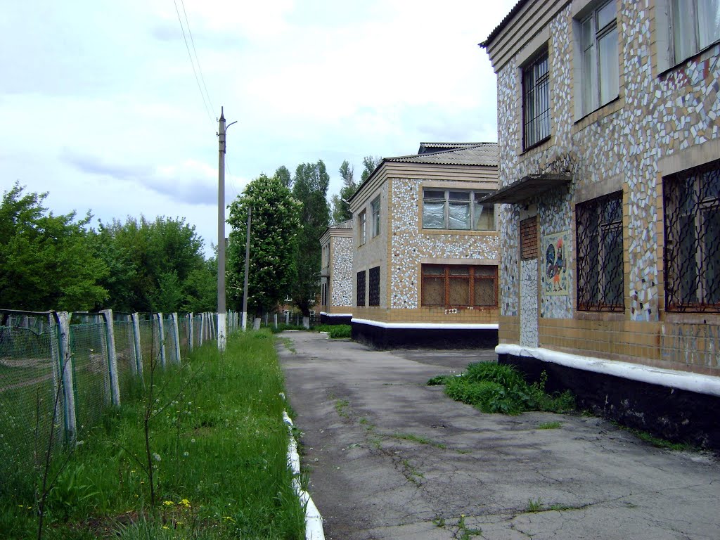 Позади здания музея
