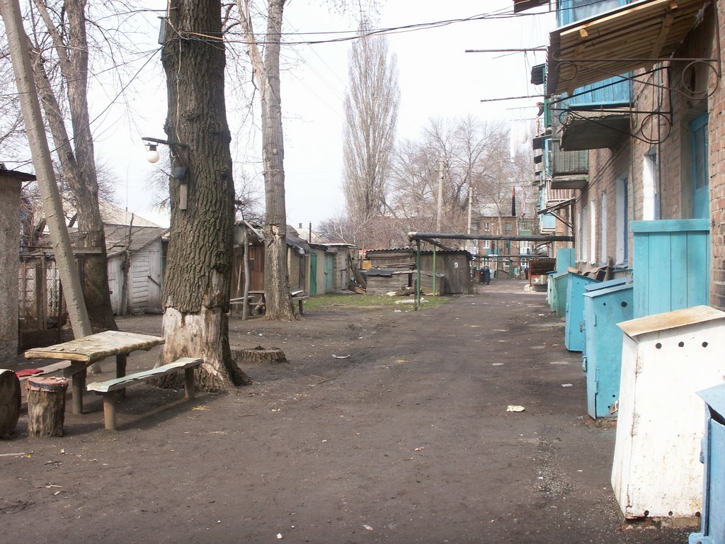 Двор д.43