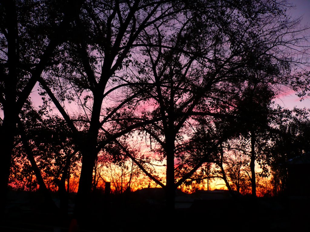 Purple sunset