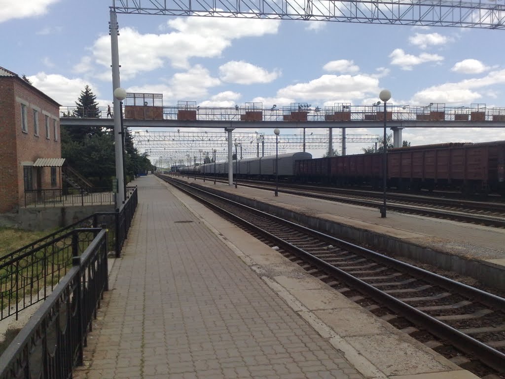 перрон