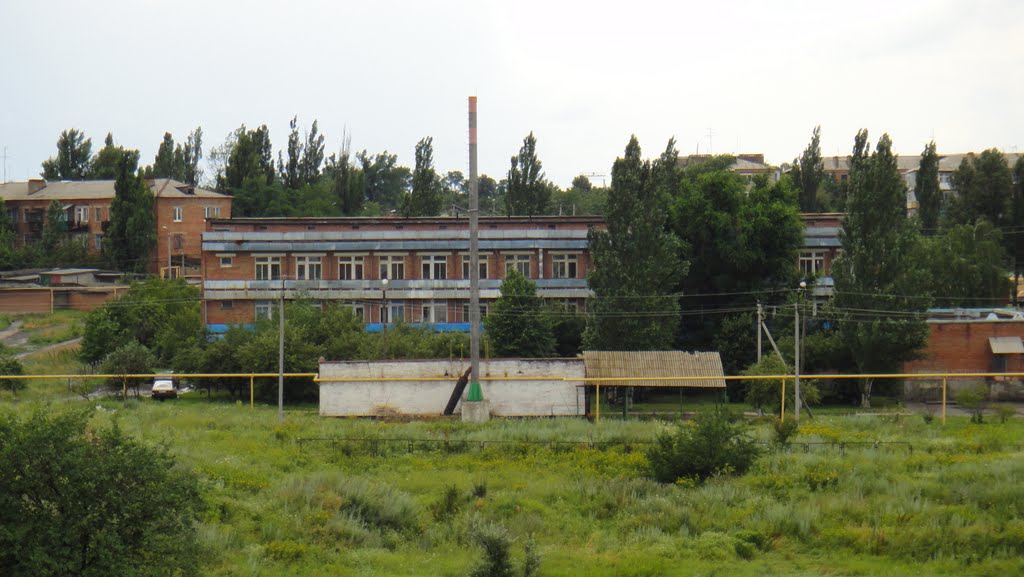 роддом