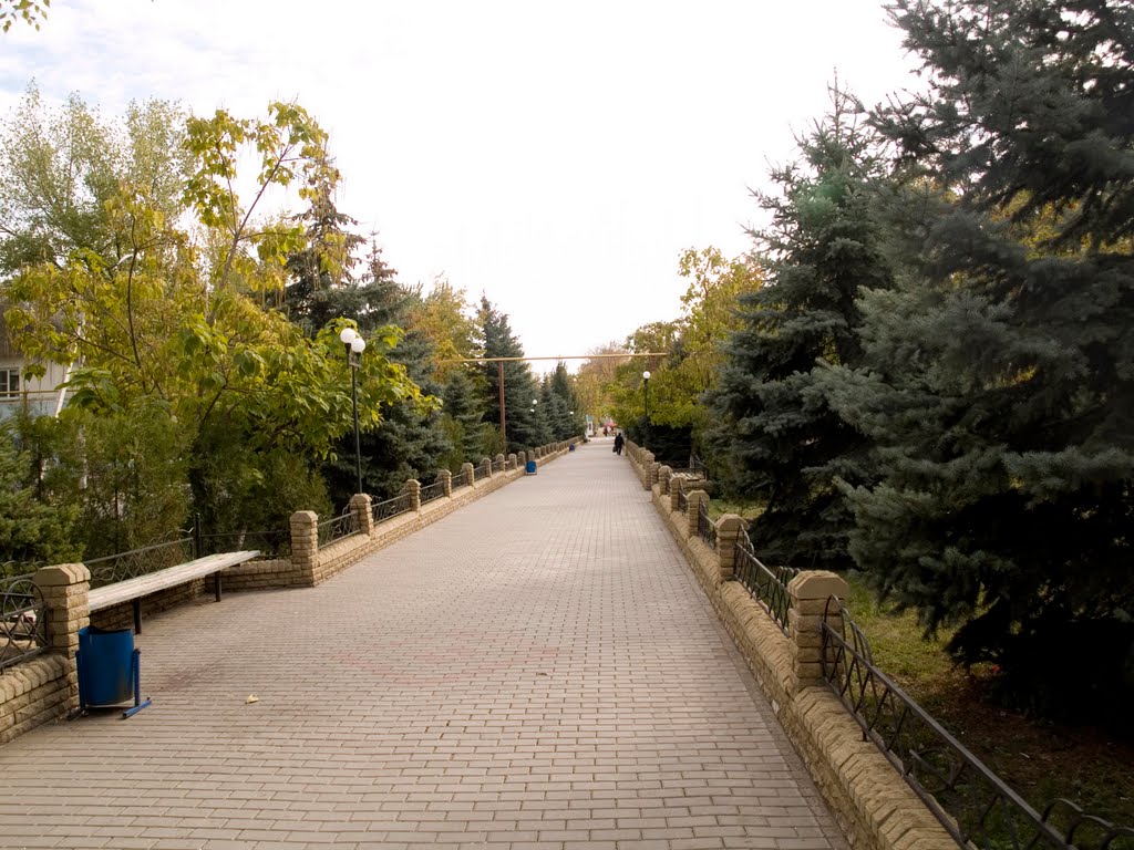 Аллея