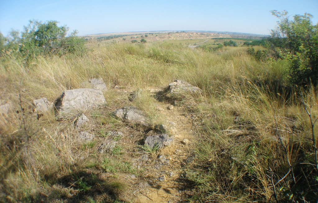 Saramatia