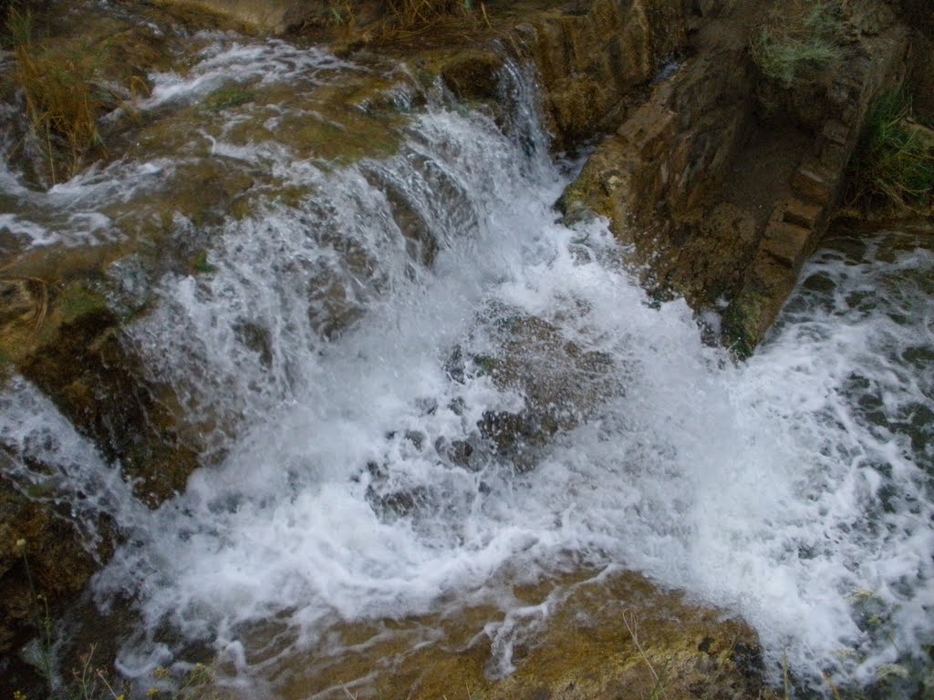 Кушнарёвский пруд