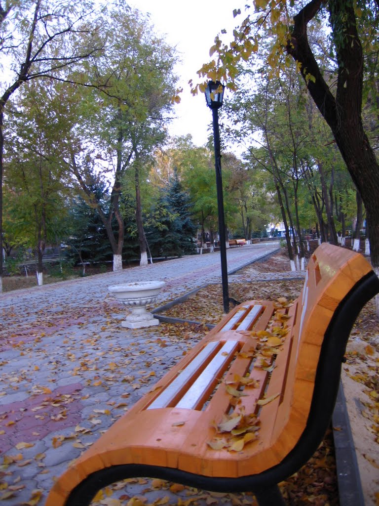 Заветное осенью
