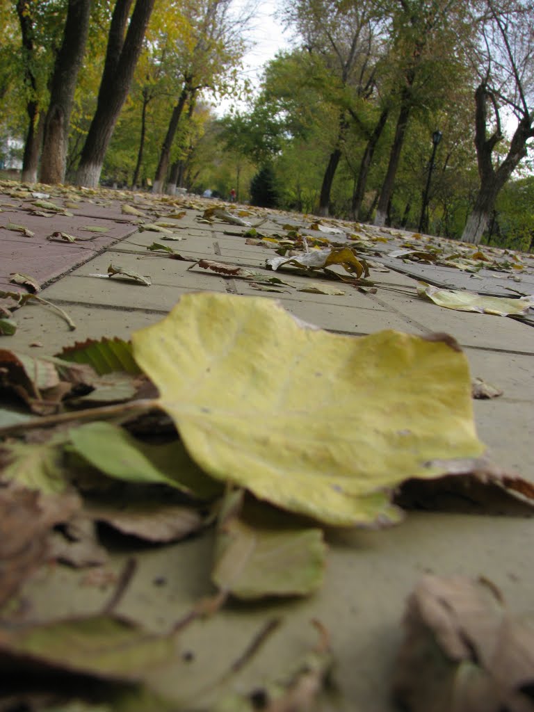 Аллея Героев