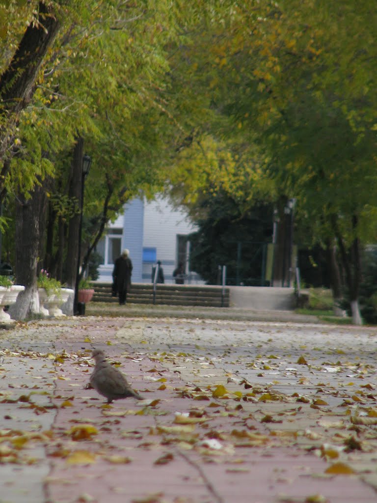 Аллея Героев