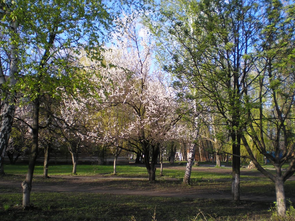 Зверево 18 апреля 2008