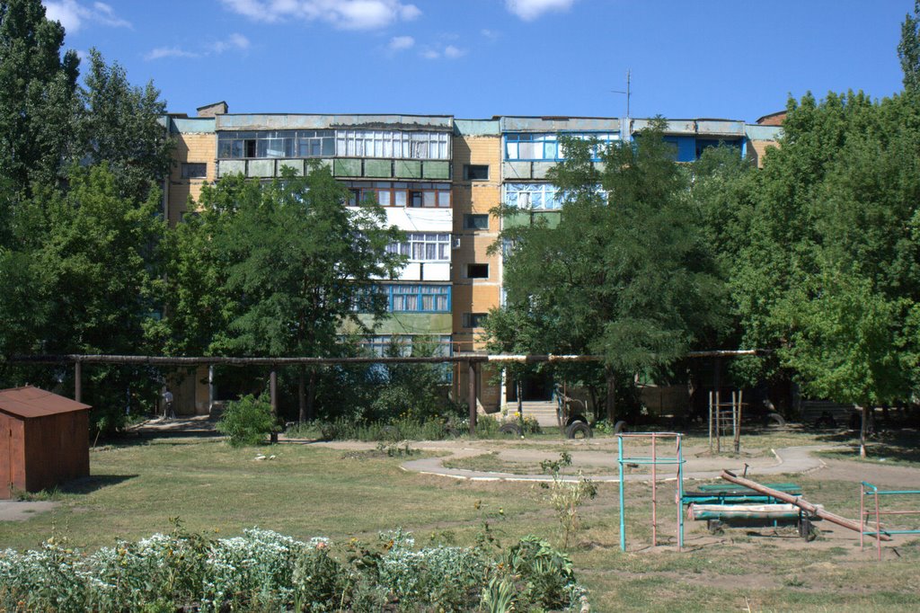 двор в Зверево