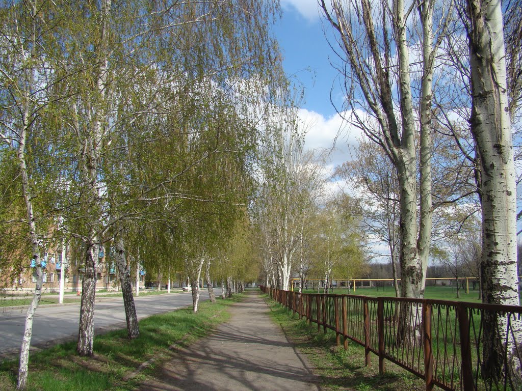 Аллейка по ул. Рижской (от ДК к школе)